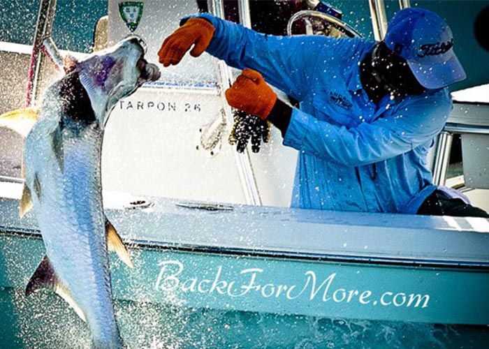 How to Go Deep Sea Fishing in Miami: The Complete Guide for 2024